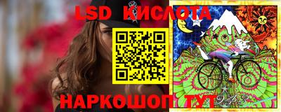 стафф Можга