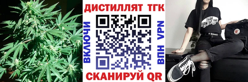 ТГК вейп  KRAKEN ТОР  Курчалой 