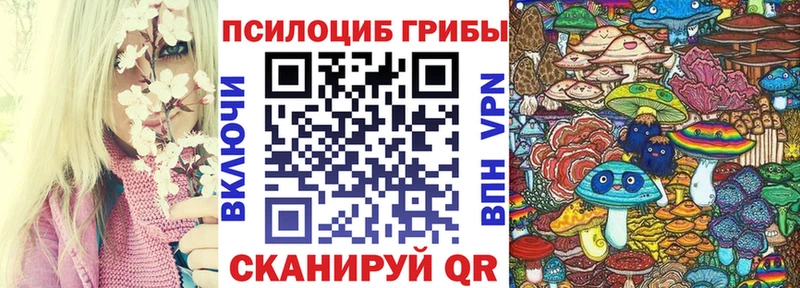 Галлюциногенные грибы Cubensis  мега ссылки  Курчалой 
