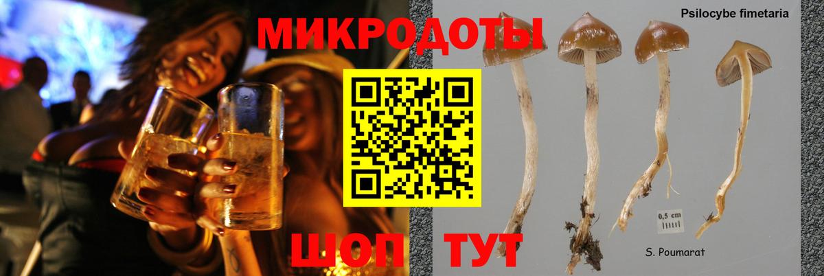 Псилоцибиновые грибы Psilocybe  Вход с VPN  Курчалой 