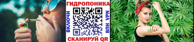 наркошоп Курчалой Канабис тримм